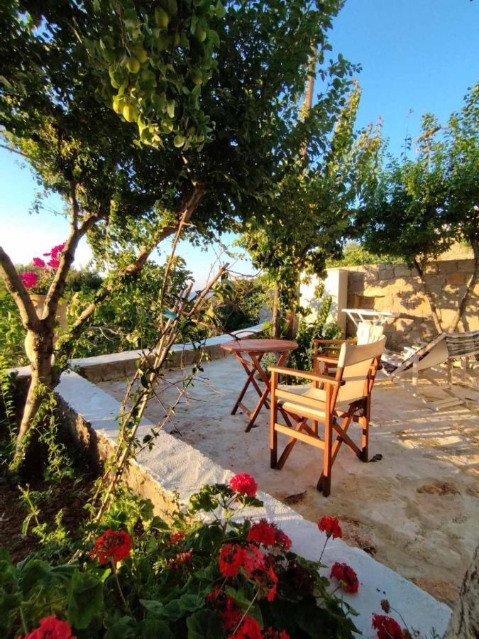 Traditional Studio Chora Patmos 外观 照片