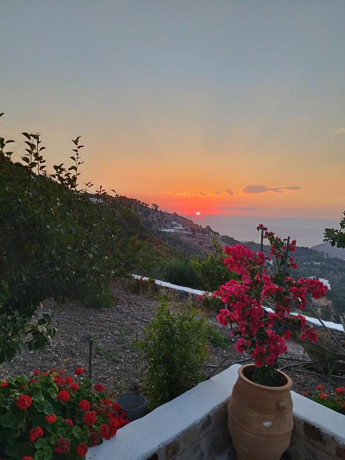 Traditional Studio Chora Patmos 外观 照片