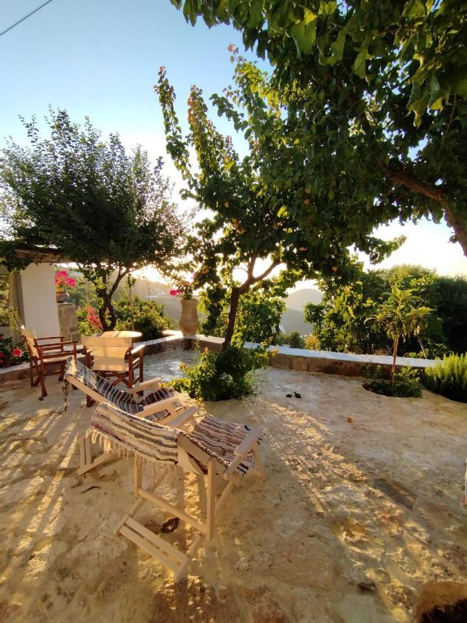 Traditional Studio Chora Patmos 外观 照片